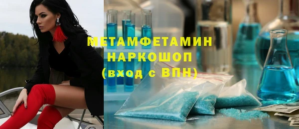 прущие грибы Балабаново