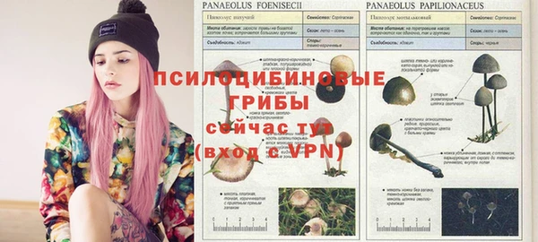 ГАЛЛЮЦИНОГЕННЫЕ ГРИБЫ Балахна